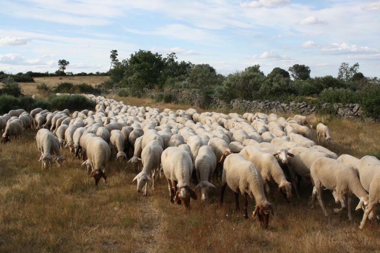 Casa Rural Mimbrero Aldeadávila de la Ribera المظهر الخارجي الصورة